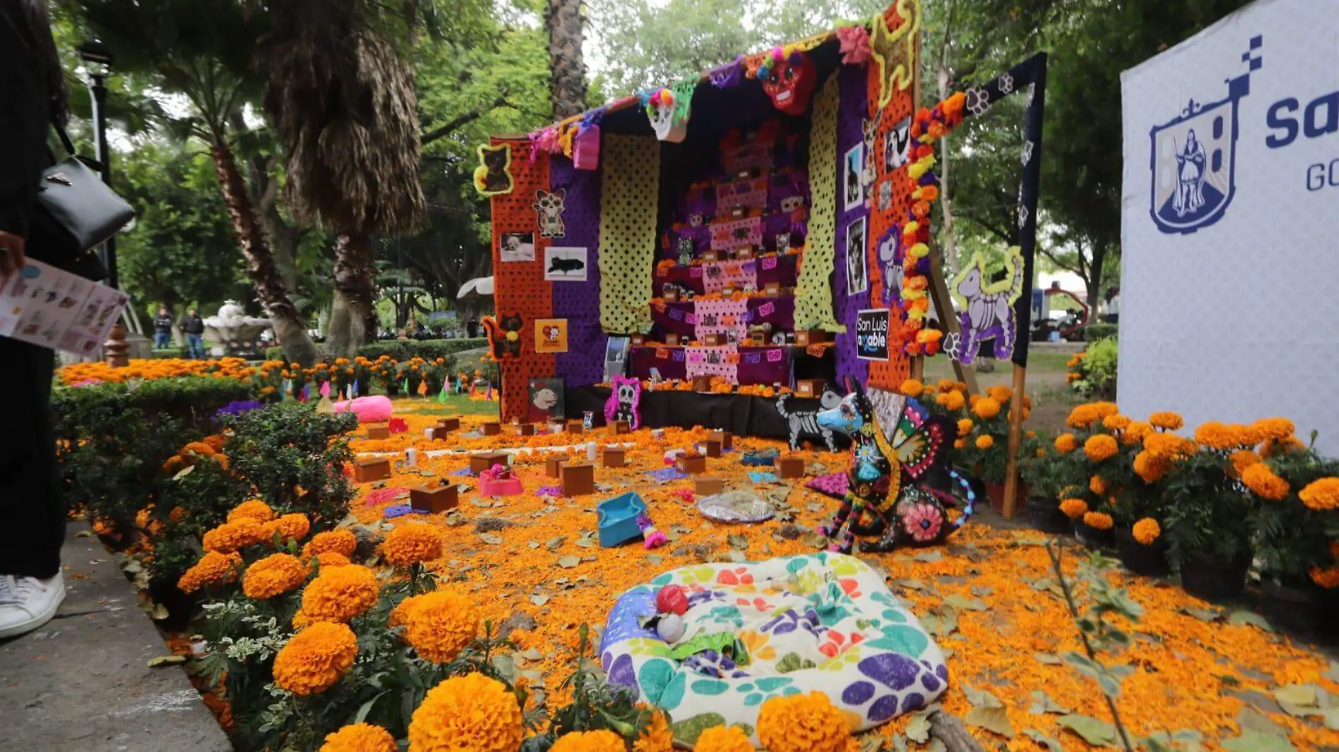 altar monumental de mascotas en el jardín de Tequis (1)